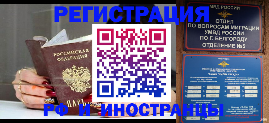 прописка в Сланцах